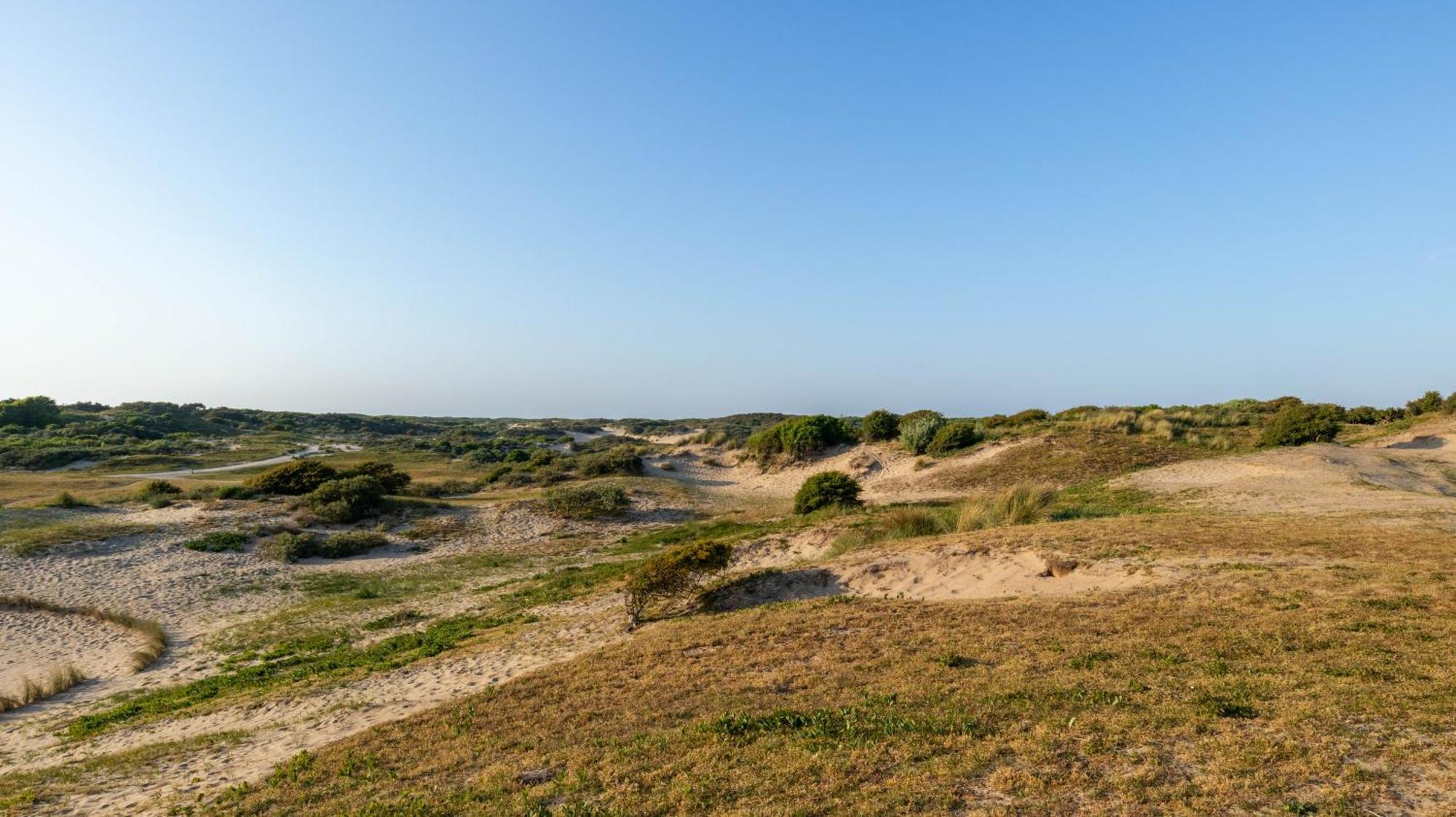 Beach Lodge 24 - Noordwijk Aan Zee - Met Eigen Tuin Exteriör bild